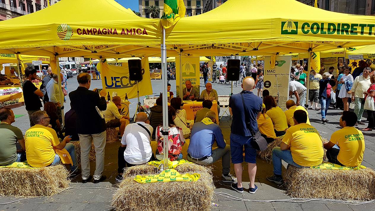 cerasa-fest-convegno-canapa-2